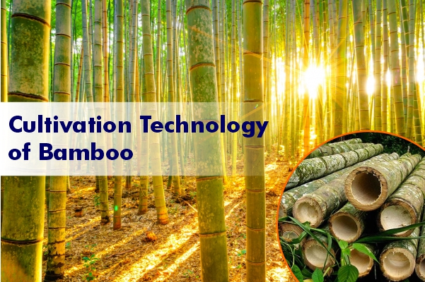 https://edtechhub.in/public//uploads/media_manager/2320.jpg
